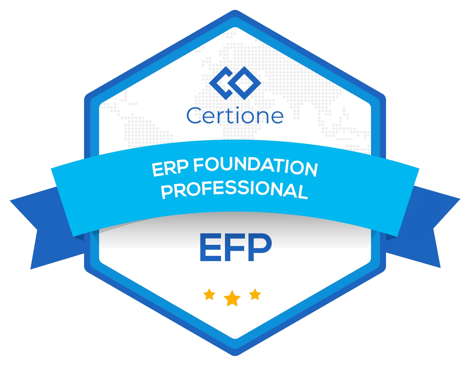 ERP Foundation Professional (EFP)