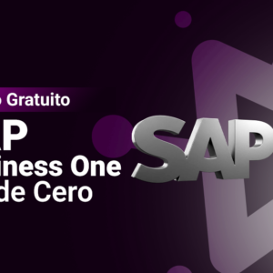 SAP Business One desde zero