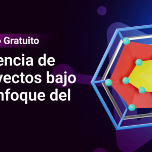 Gerencia de Proyectos bajo el enfoque del PMI