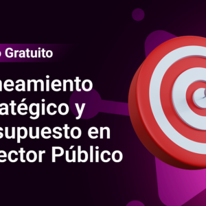 Planeamiento Estratégico y Presupuesto en el Sector Público