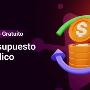 Presupuesto Publico